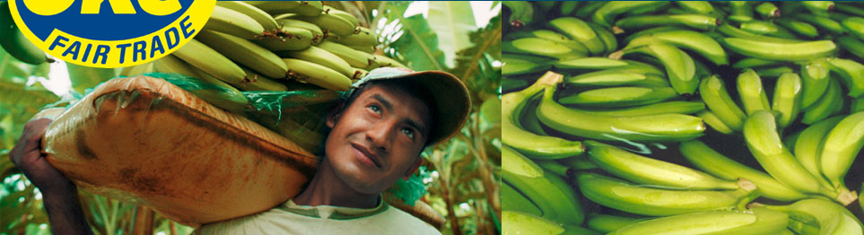 Oke USA - A Fair Trade banana company
